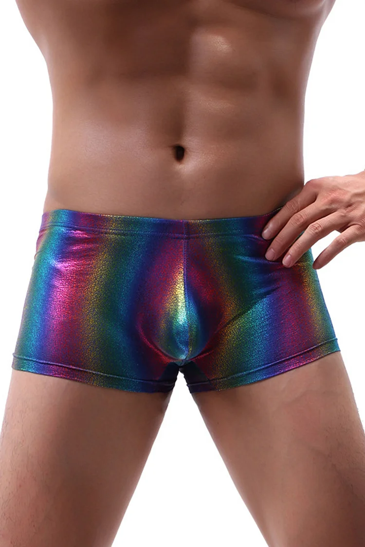 Rainbow Metallic Coated Bodycon Stretchy Low Rise Briefs Boxers