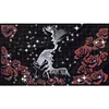 Bead Embroidery - Partial Printed 9CT Rose Lady(69x41 CM)