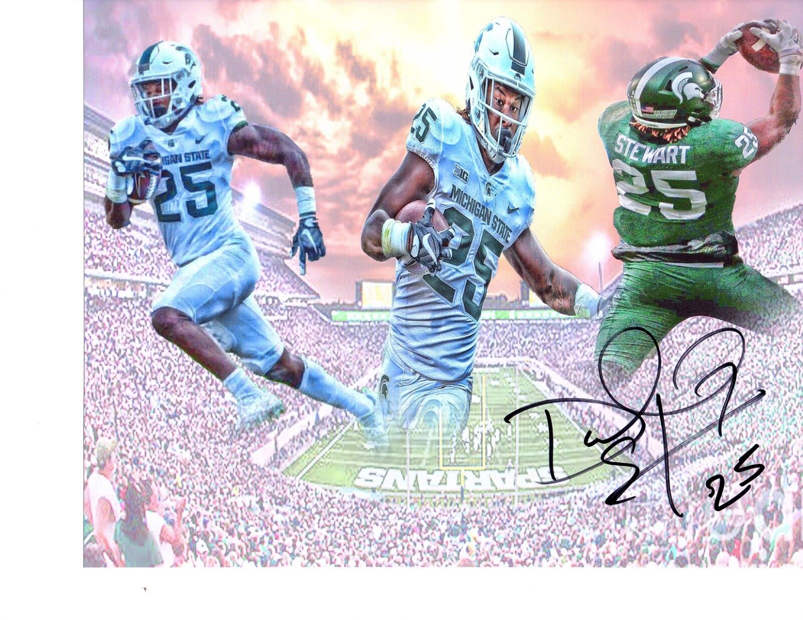 Darrell Stewart Jr. signed autographed 8x10 Photo Poster painting Michigan State Spartans MSU a