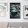 NFL Philadelphia Eagles Football-11CT Stamped Cross Stitch 35*50cm