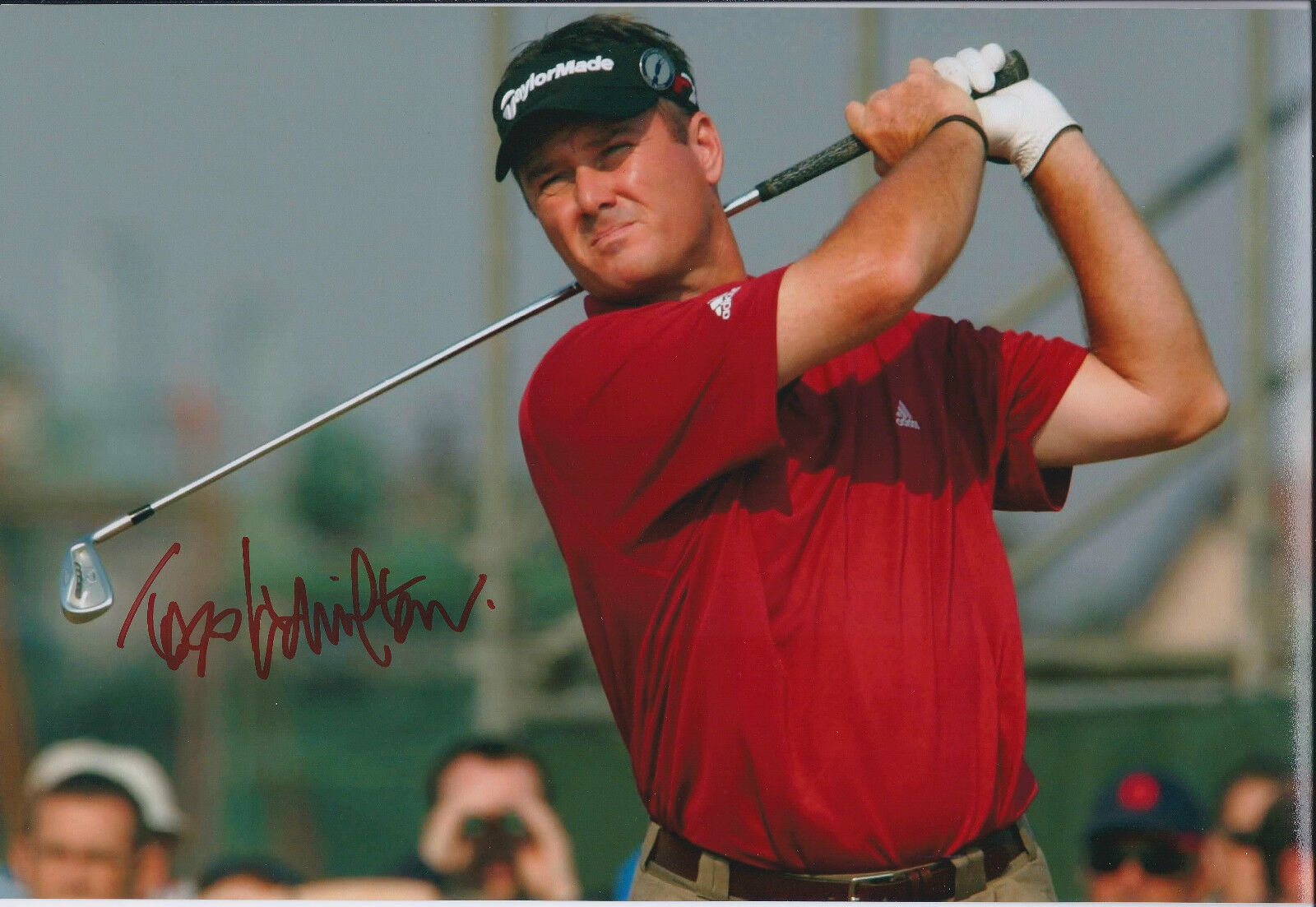 Todd HAMILTON SIGNED Autograph 12x8 Photo Poster painting AFTAL COA PGA Tour Winner Golf