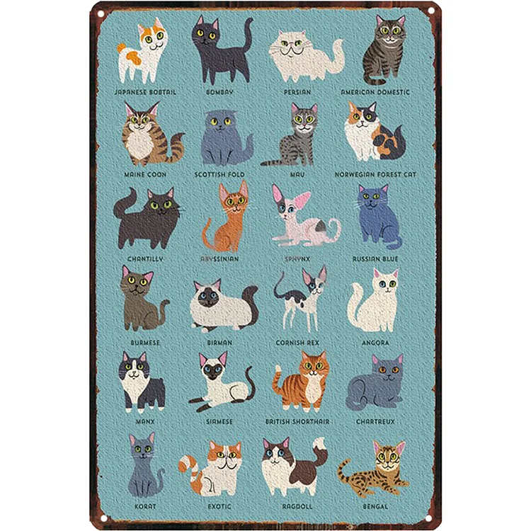 Cat - Vintage Tin Signs/Wooden Signs - 8*12Inch/12*16Inch