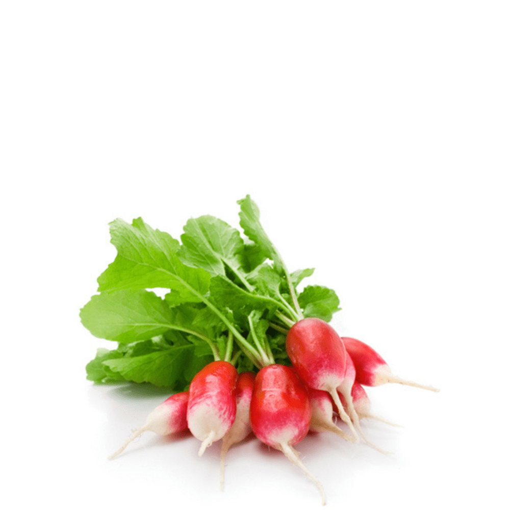 Heirloom Radish Seeds (Laal Mooli) &ndash; Largo Punta Blanca