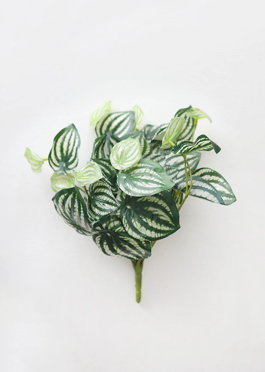 Artificial Natural Touch Watermelon Peperomia - 13"