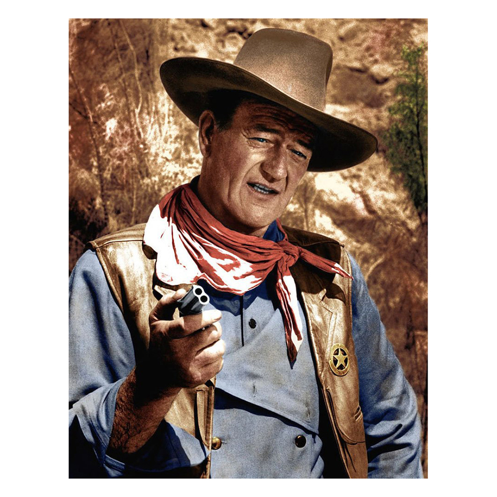 

30*40CM - Square Drill Diamond Painting - Cow Boy, 501 Original