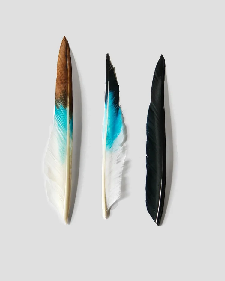 Rising Feather Pack