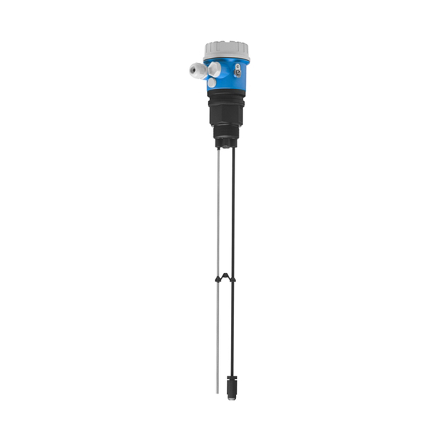 e+h,E+H Liquicap FMI21 Capacitive Level Transmitter