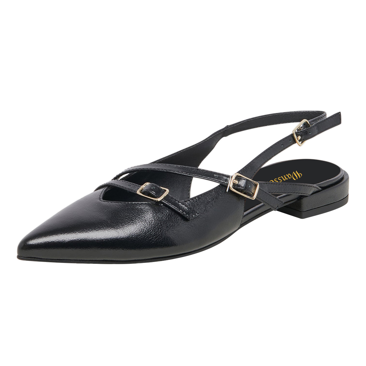 Black Pointed Toe Buckle Strappy Flat Shoes for Women with Slingback Nicepairs