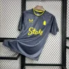 24/25 Everton Gray Soccer Jersey Away