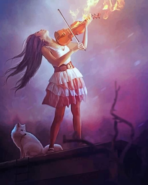 

Violinist – Paint By Numbers - 40*50CM, 501 Original