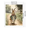 Rabbit Full Stamped Cross Stitch 11CT 3-Strand 40x50cm