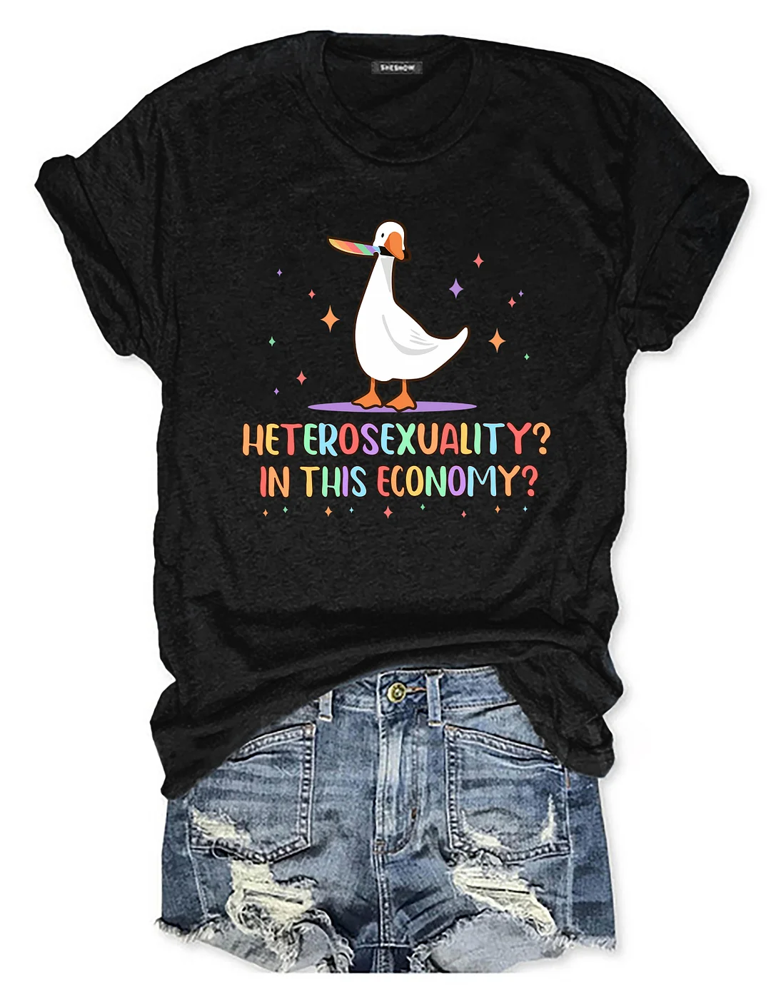 Heterosexuality In This Economy T-shirt