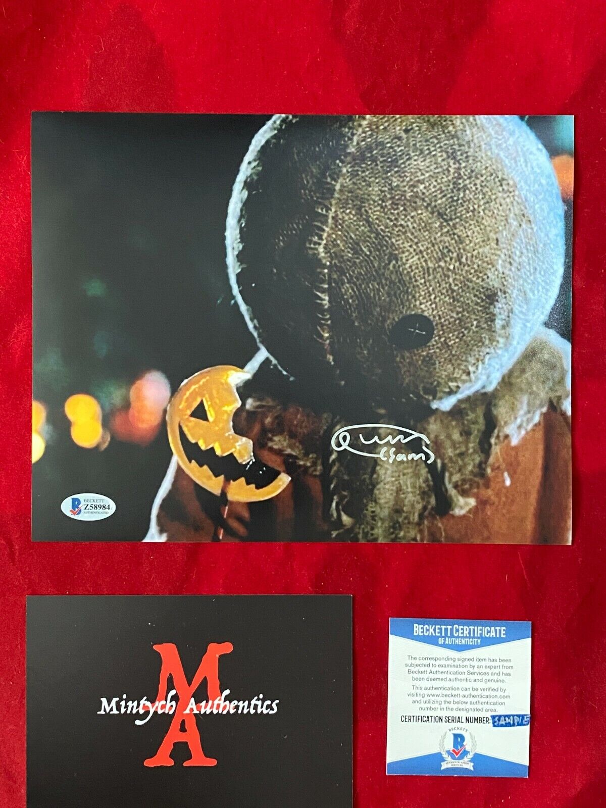 QUINN LORD TRICK 'R TREAT AUTOGRAPHED SIGNED 8x10 Photo Poster painting! BECKETT! HORROR! SAM!