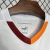 24/25 Galatasaray Soccer Jersey Away
