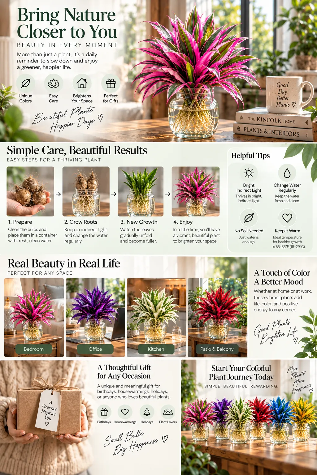 Colorful water grown plant display