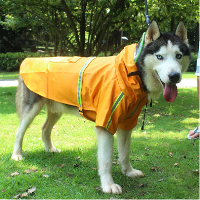 Reflective Pet Dog Raincoat