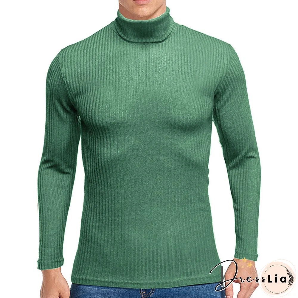 Men's Solid Casual Long Sleeve Turtleneck Sweater