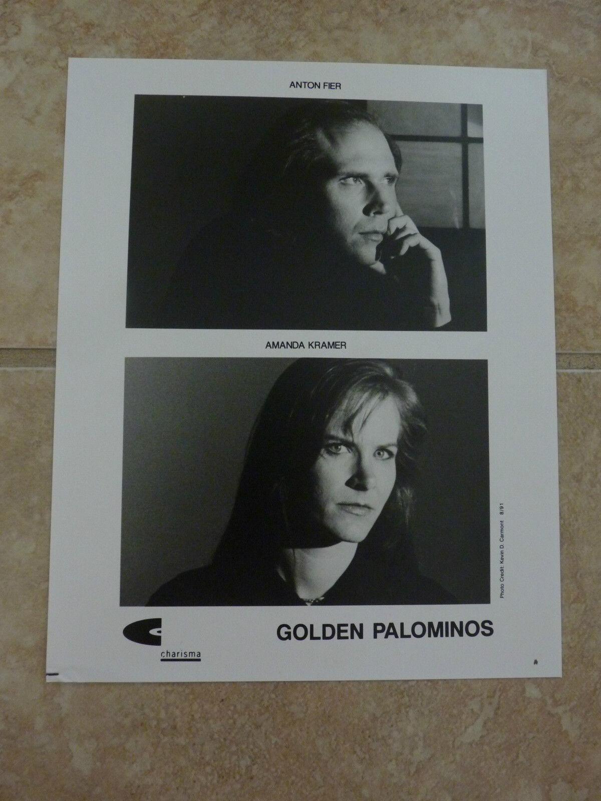 Golden Palominos 8x10 B&W Publicity Picture Promo Photo Poster painting