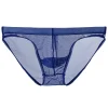 Low Waist Mesh Ultra-thin Transparent Sexy Briefs