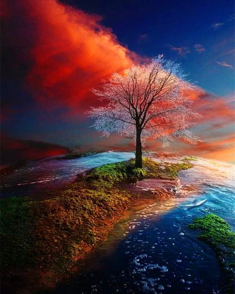 

Tree Planet – Paint By Numbers - 40*50CM, 501 Original