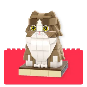 Pet