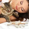 ❤️For happy, healthy, and active indoor cats🐱Swabs Large Size Cat Toys with Catnip