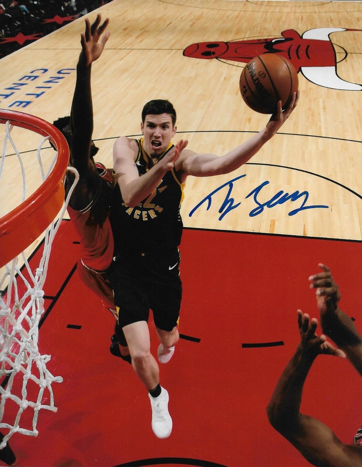 TJ LEAF signed autographed INDIANA PACERS 8x10 Photo Poster painting UCLA w/COA