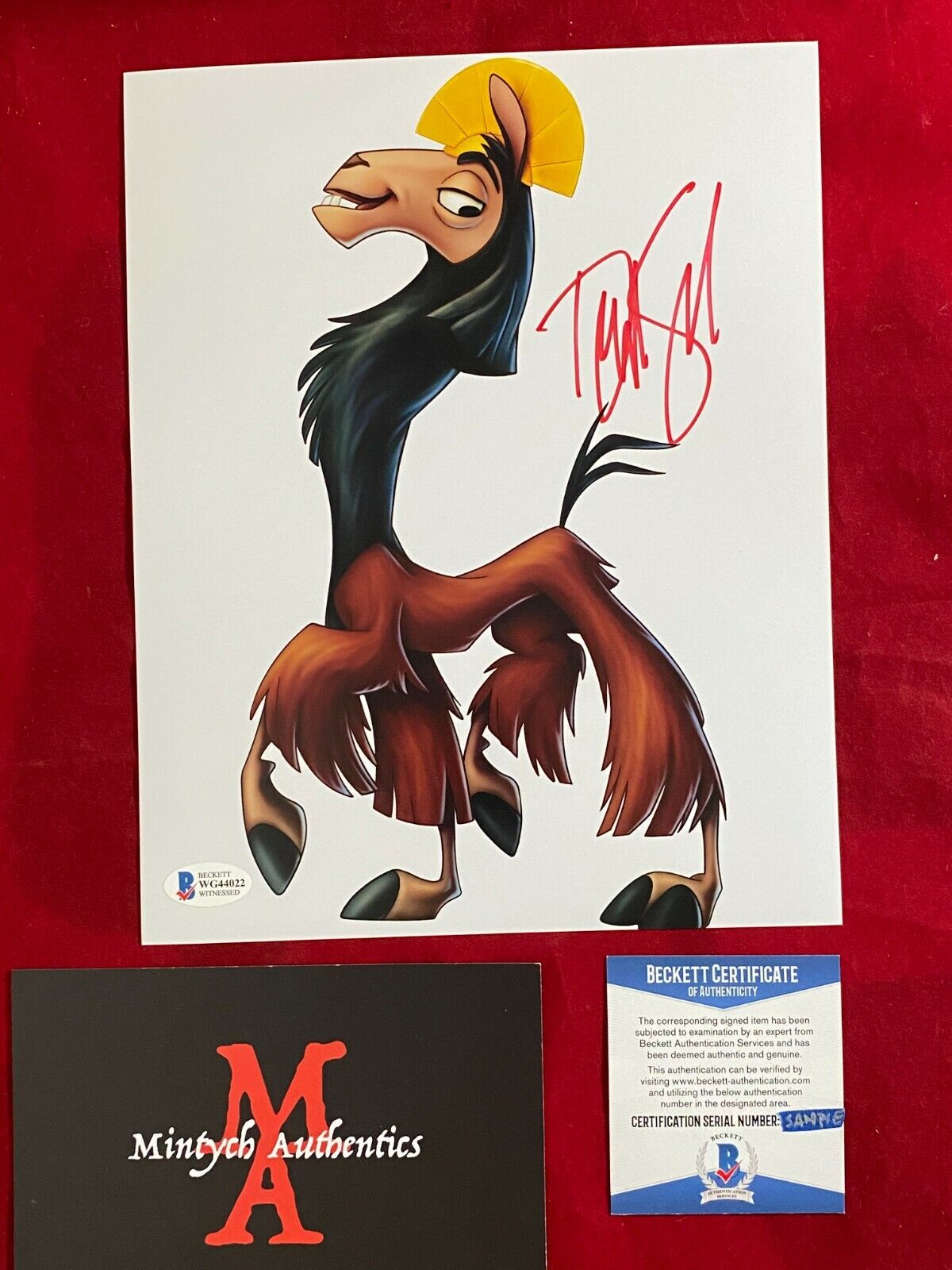 DAVID SPADE SIGNED 8x10 Photo Poster painting! THE EMPEROR'S NEW GROOVE! BECKETT COA! KUZCO!