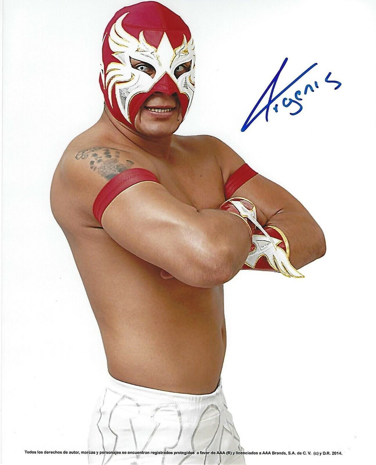 Argenis Signed 8x10 Photo Poster painting AAA Lucha Libre Underground Pro Wrestling Autograph 2