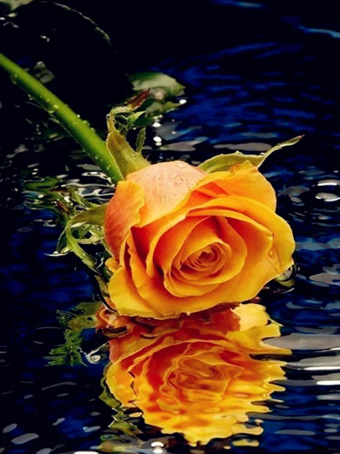 Diamond Painting - Full Round/Square Drill - Flower(30*40 - 50*60cm)