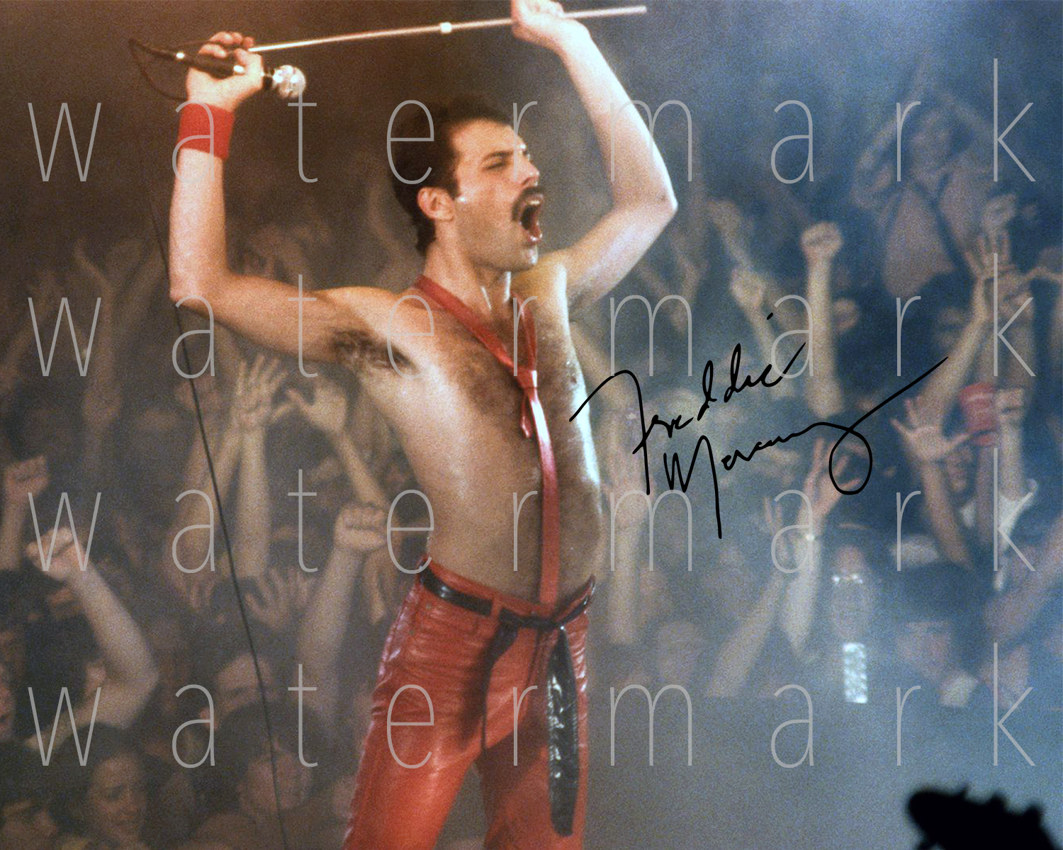 Freddie Mercury Queen signed 8X10 Photo Poster painting picture poster autograph RP