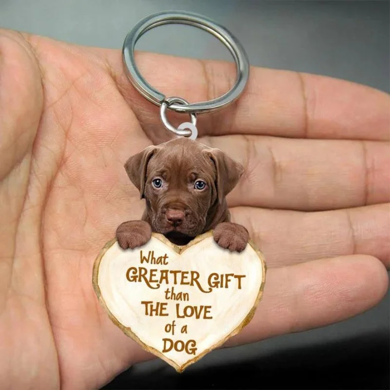 VigorDaily Pitbull What Greater Gift Than The Love Of A Dog Acrylic Keychain GG125