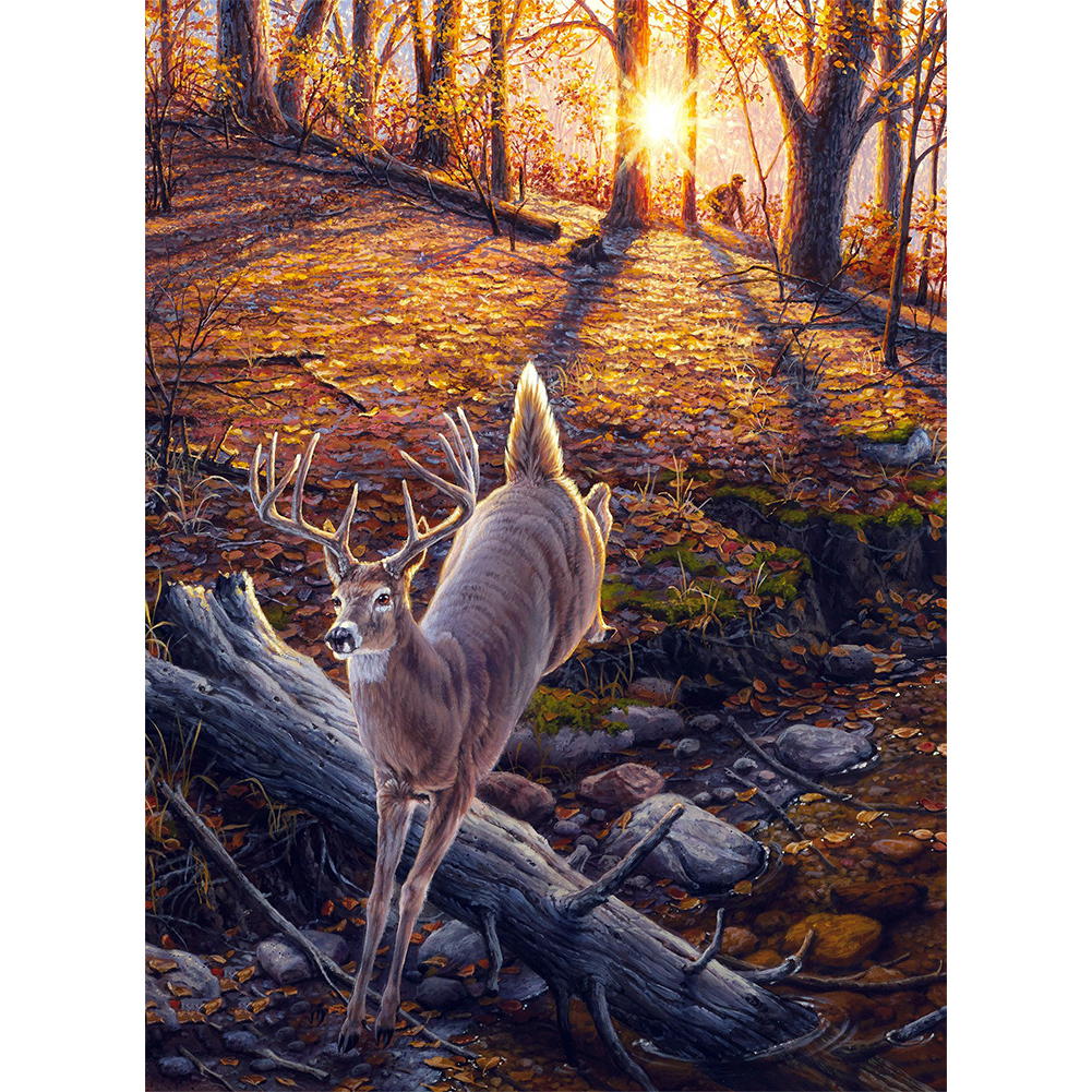 

Sunset Elk - Round Drill Diamond Painting - 40*50CM, 501 Original