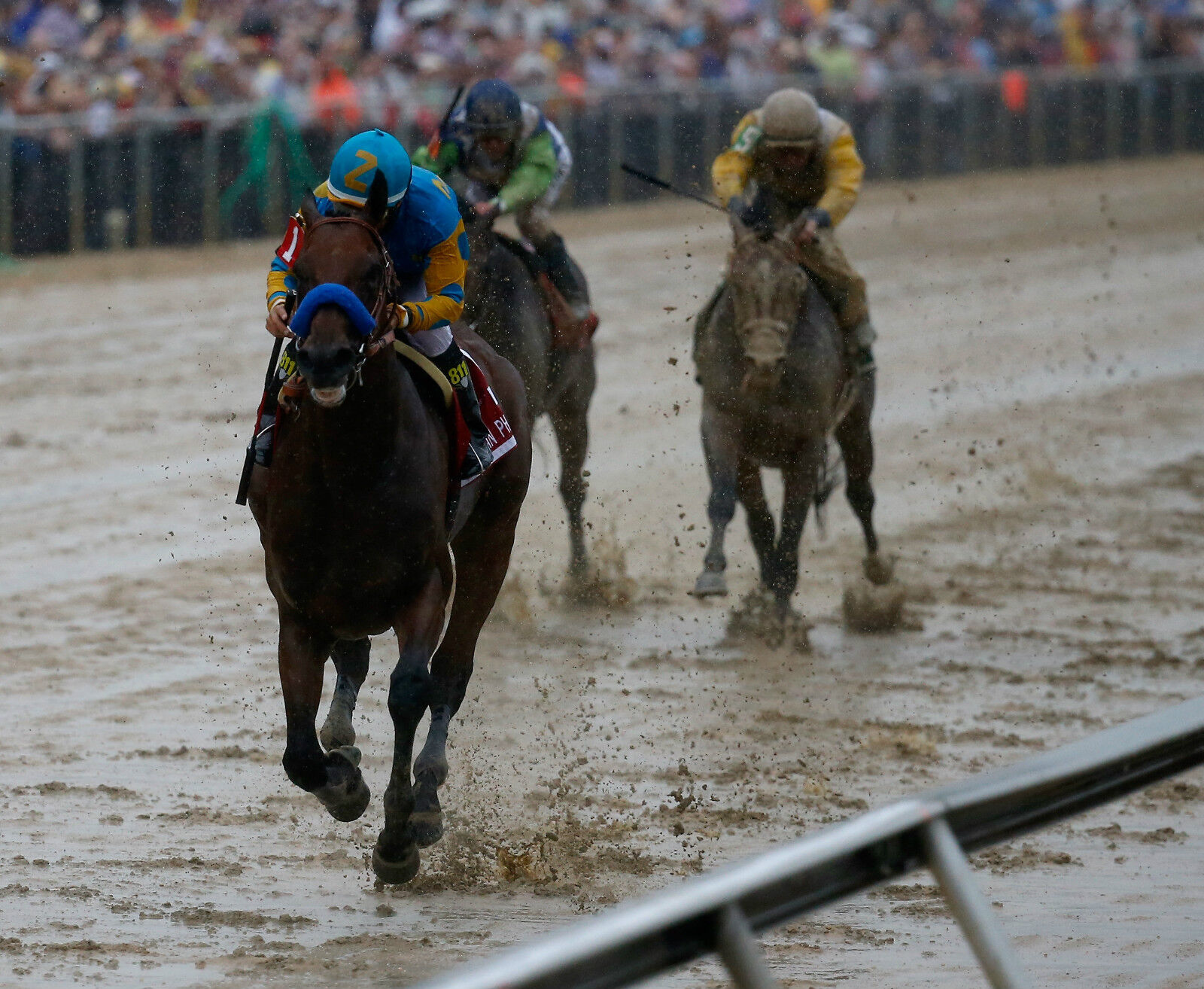 2015 Victor Espinoza AMERICAN PHAROAH Preakness Stakes Horse Racing 8x10 Photo Poster painting