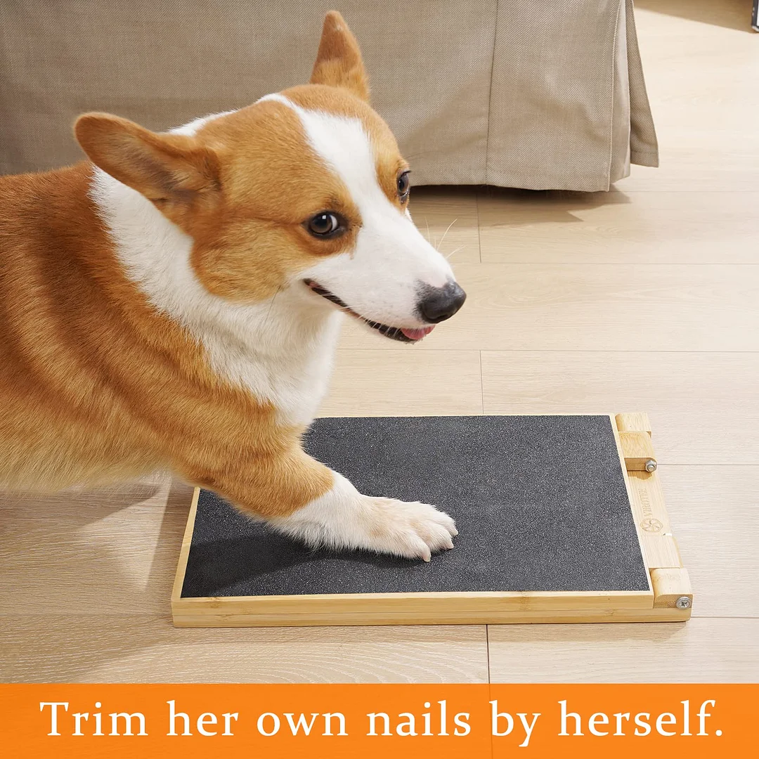 Dog Scratch Pad for Nails