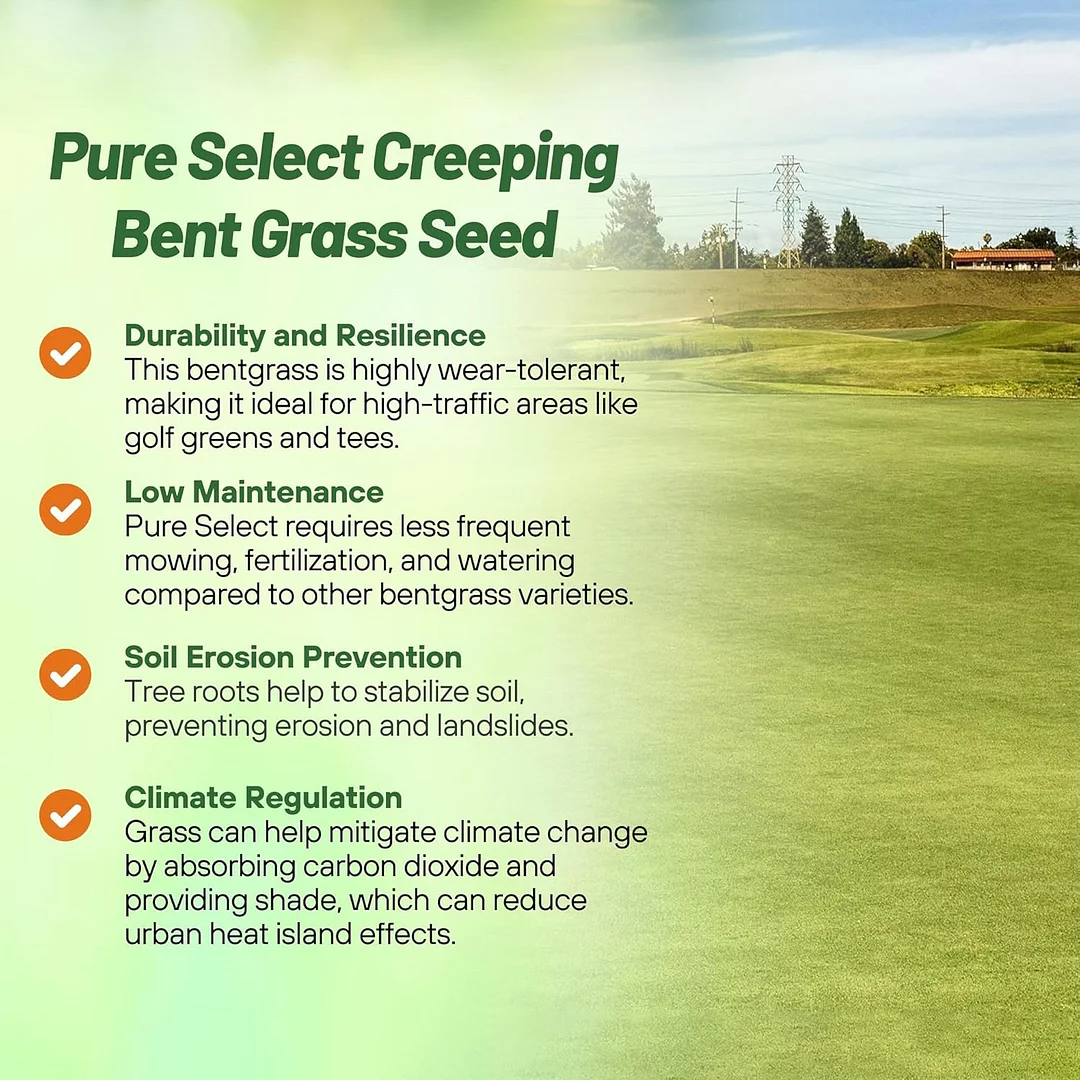 Pure Select Creeping Bent Grass