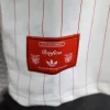 25/26 Player Version Benfica Retro Special Edition Soccer Jersey