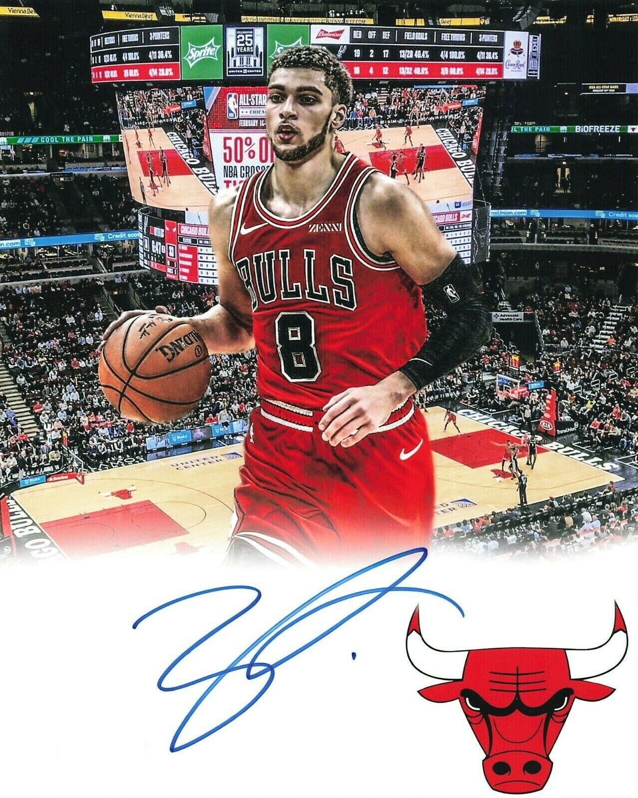 Zach LaVine Autographed Signed 8x10 Photo Poster painting ( Bulls ) REPRINT