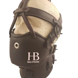 pornhint Pornhint M2 Deluxe Locking Leather Padded Muzzle Gag with Posture Collar Mature