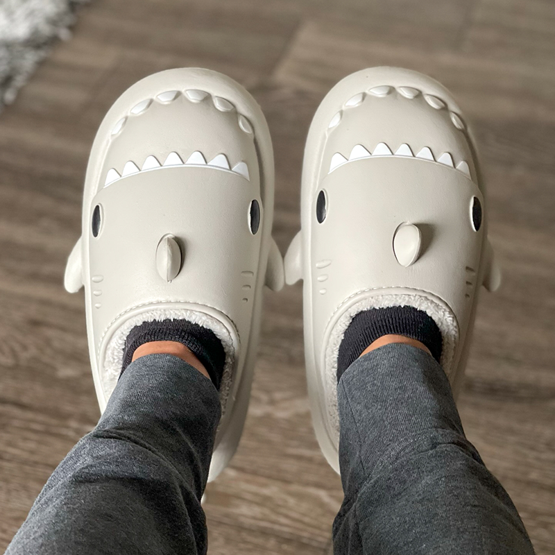 the cloud sharks winter