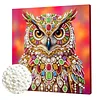 DIY Pearl Painting Owl for Home Wall Decor with Frame(25x25cm)