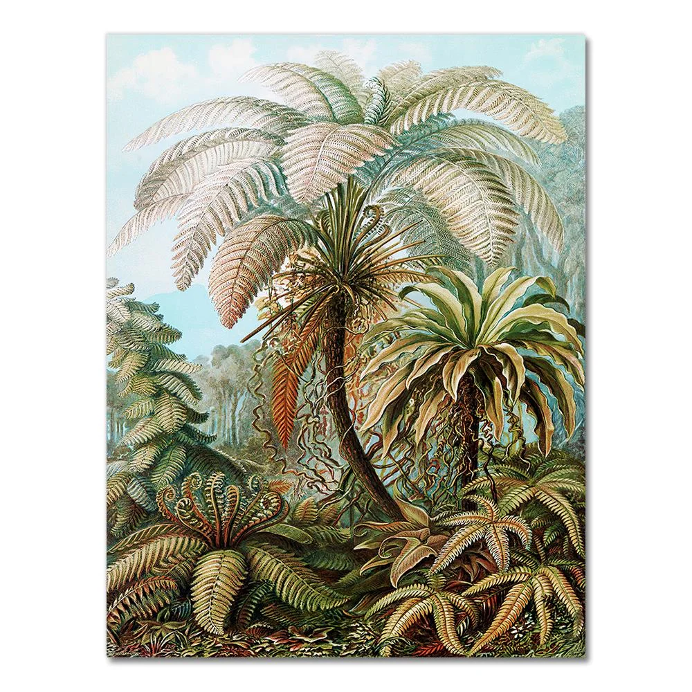 Nigikala Ernst Haeckel Biology Posters Palm Tree Prints Vintage Hummingbird Botanical Tropical Wall Art Canvas Painting Pictures Decor