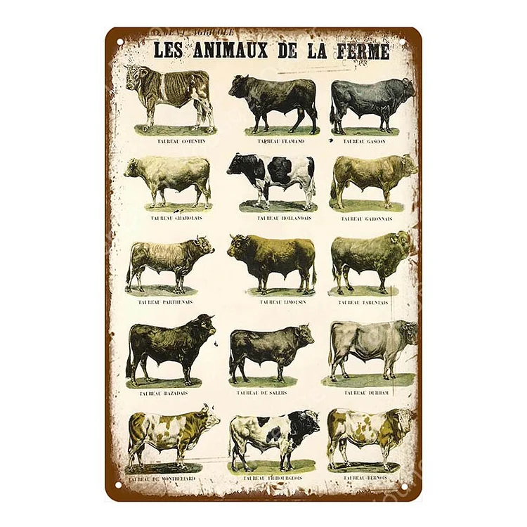 Poulet frais heureux - enseignes en étain vintage / enseignes en bois - 7.9x11.8in & 11.8x15.7in