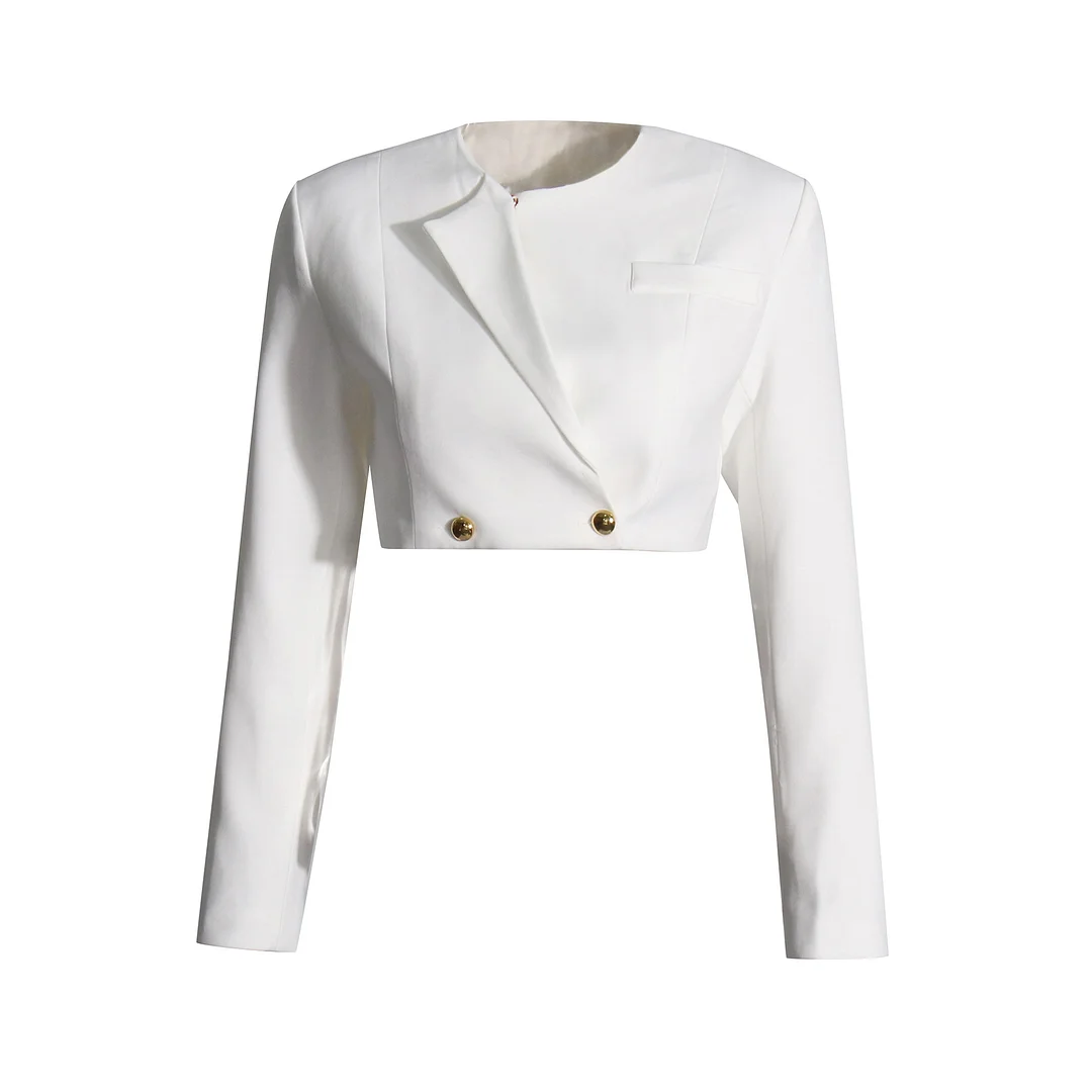 Toloer Toloer Casual Suit Female 2024 Summer New Long Sleeve Short Suit Coat Mesh Open Fork Wide Leg Trousers-Outfit Ideas