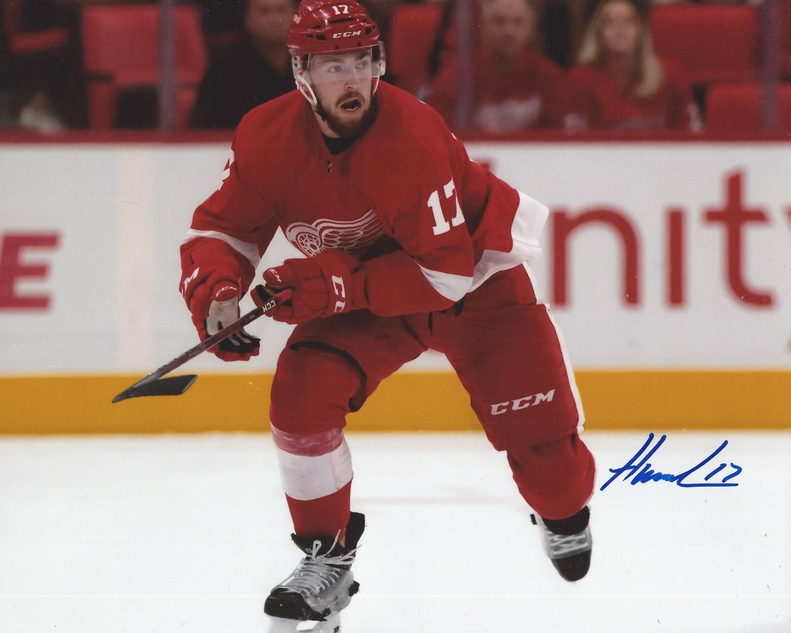 Filip Hronek Signed 8x10 Photo Poster painting Detroit Red Wings Autographed COA