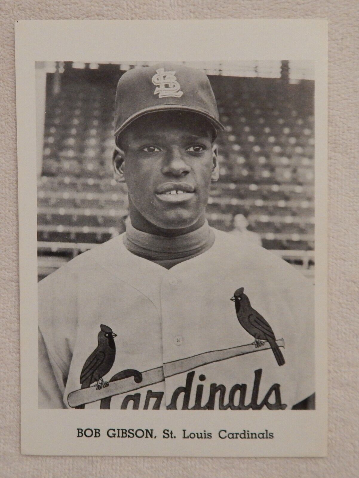 Origin EARLY 1960's BOB GIBSON ST LOUIS CARDINALS Team Issue B&W Photo Poster painting Card 5X7