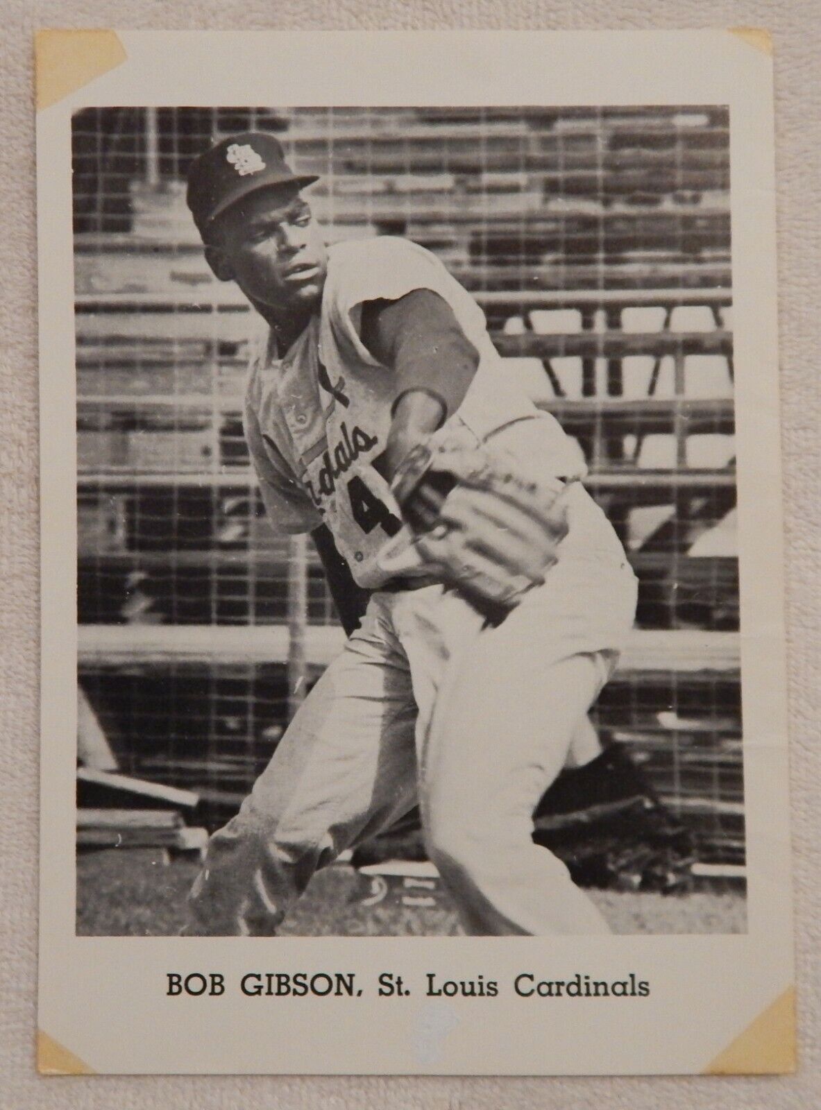 Orig EARLY 1960's BOB GIBSON ST LOUIS CARDINALS Team Issue B&W Photo Poster painting Card 5X7 EX