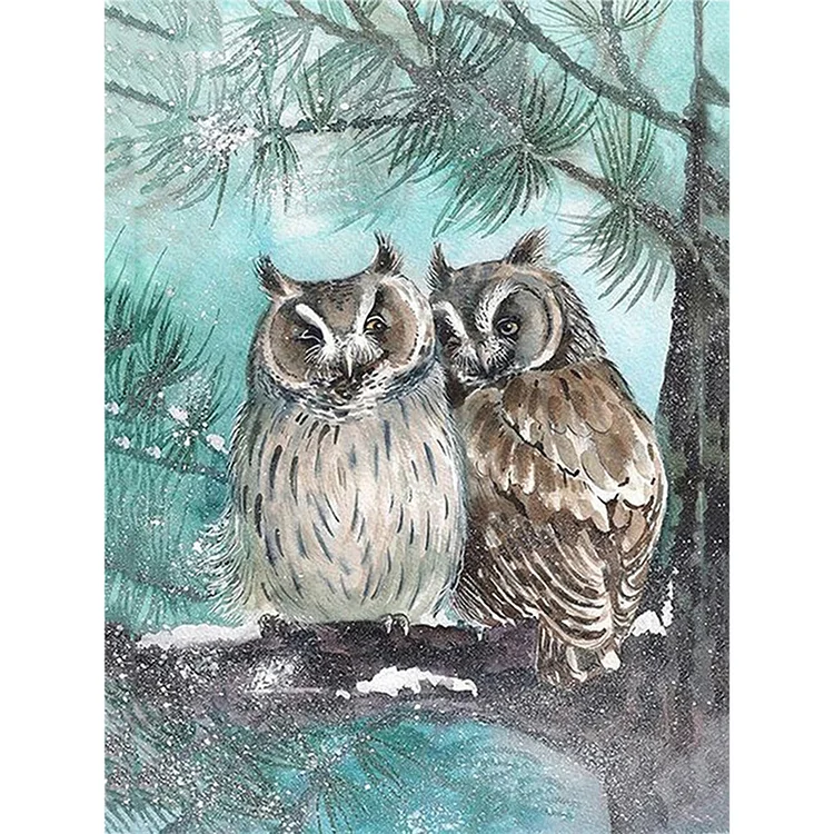 30*40CM  Diamond Painting Owl Animals s