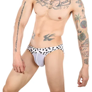 Men's see-through mesh sexy printed underwear