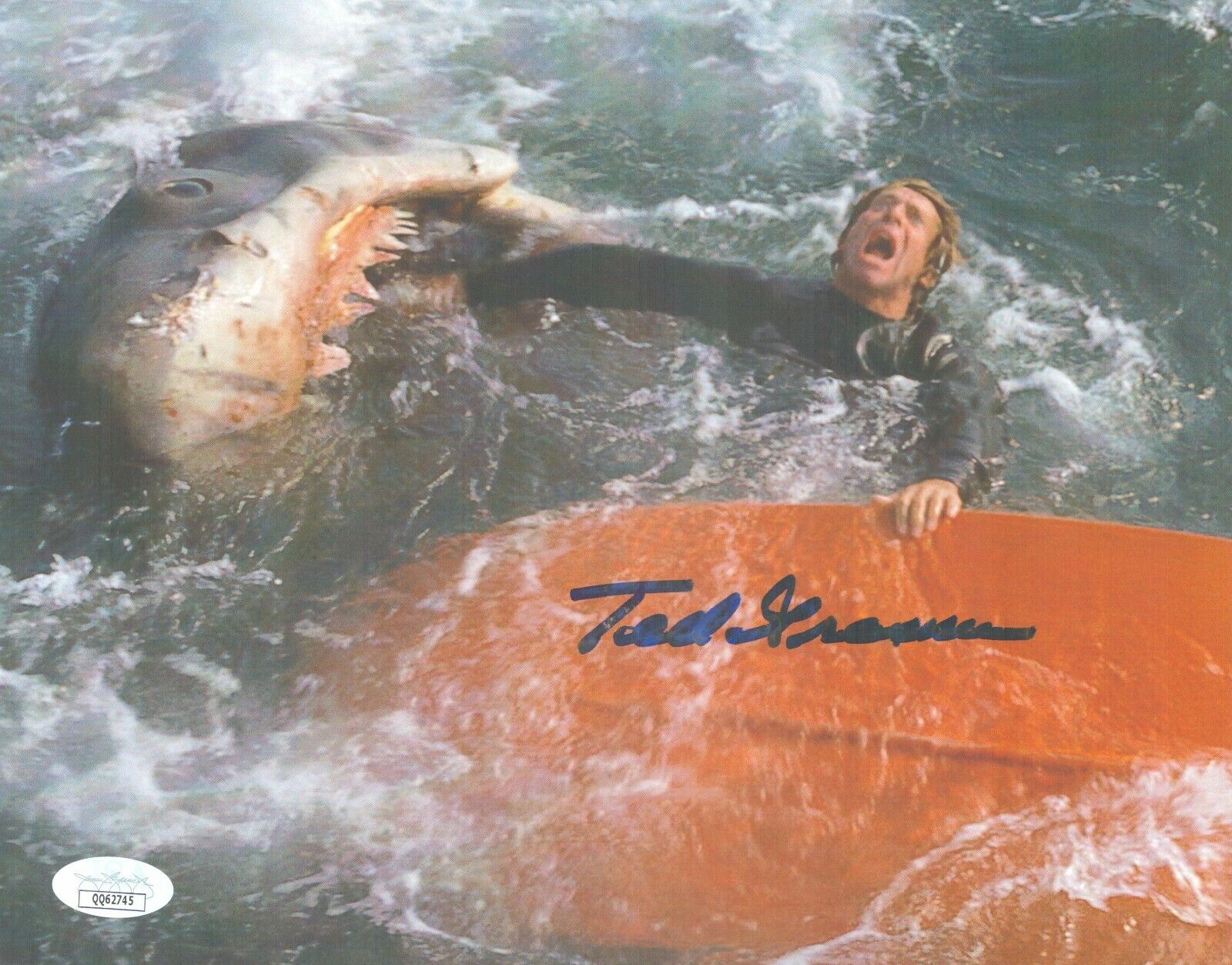 TED GROSSMAN Signed 8x10 Photo Poster painting JAWS GOONIES In-Person Autograph JSA COA Cert